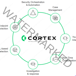 Palo Alto Networks Cortex Review